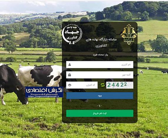 دبیر اتحادیه واردکنندگان نهاده‌های دامی: لزوم تخصیص نهاده بر اساس مشاهدات میدانی/ جذب ذرت ۹ هزار تن افزایش یافت