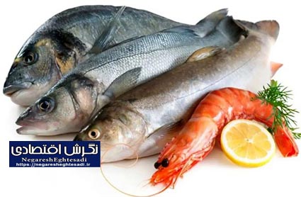 مصرف آبزیان انتخاب راهبردی برای سفره ایرانی است