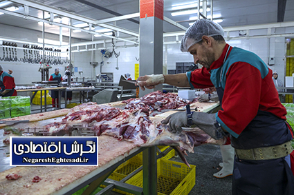 آغاز واردات و عرضه گوشت تازه با استفاده از ارز مبادله ای