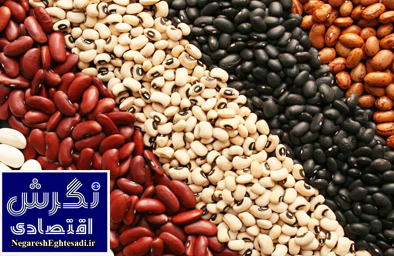 معاون وزیر جهاد کشاورزی مطرح کرد: پیش بینی تولید ۶۵۰ هزار تن حبوبات به رغم خشکسالی
