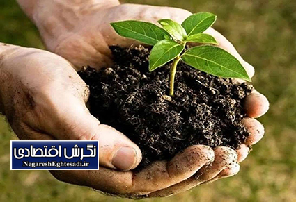 پیچیدگی‌ در ارزش‌گذاری اقتصادی خاک