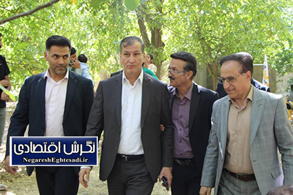 آیین شکرگزاری برداشت گردو در تویسرکان همدان برگزار شد
