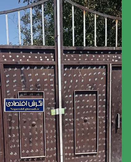 کشف و معدوم‌سازی بیش از ۲۰۰ کیلوگرم گوشت قرمز حاصل از کشتار غیرمجاز در میاندوآب