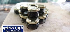 تولید ۸۳۰ گرم خاویار از دو ماهی سیبری در ۹ مهرماه/ عملکرد شاخص مرکز احمدآباد مستوفی