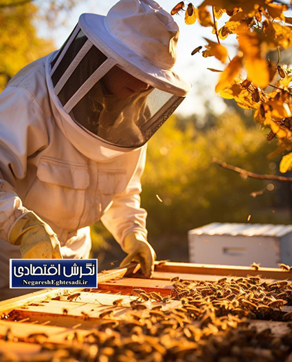 آغاز سرشماری سراسری زنبورستان‌های استان بوشهر