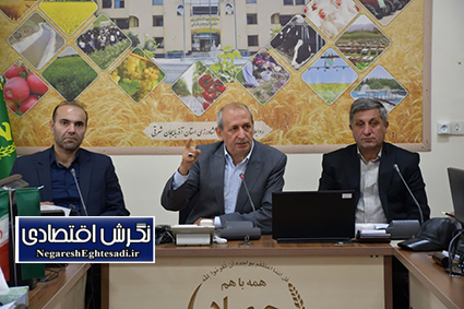 رعایت الگوی کشت یک ضرورت است نه انتخاب